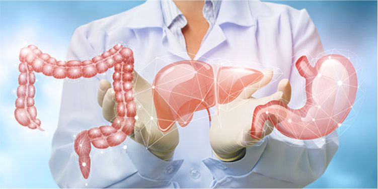 Gastroenterology - More Hospital