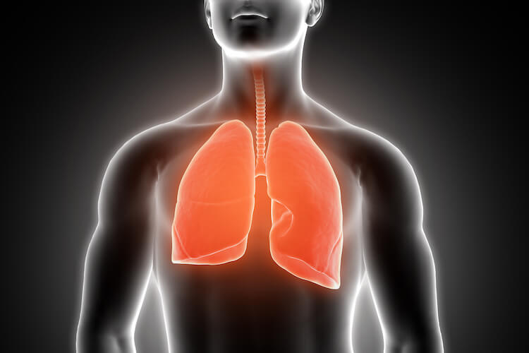 Pulomonology And Respiratory Case - More Hospital